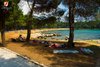 Rovinj Centener Cuvi Chilling out under the trees